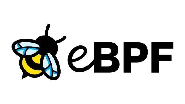 eBPF 核心技术与实战