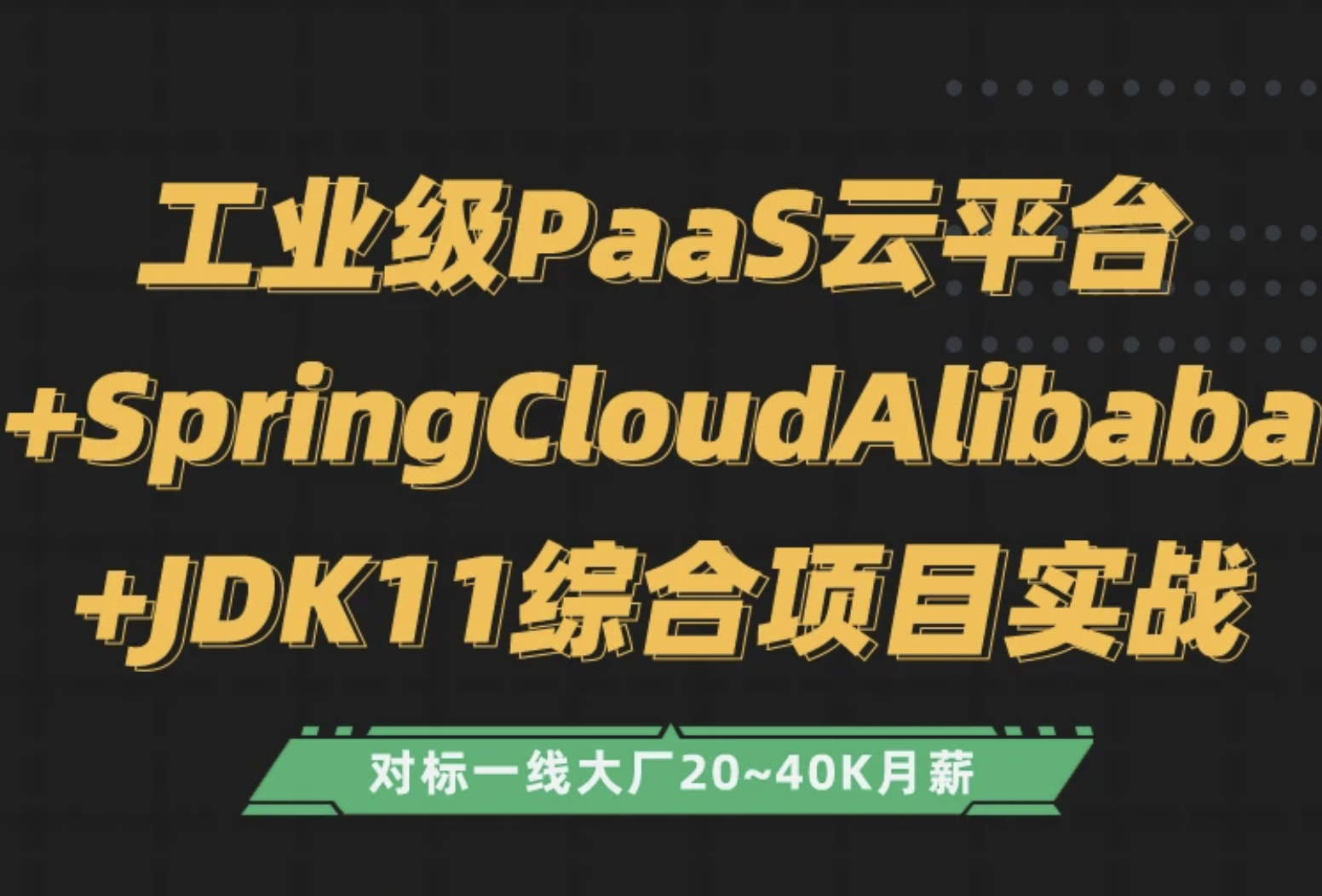 PaaS云平台 SpringCloudAlibaba+JDK11综合项目实战
