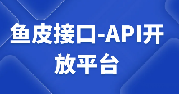 鱼皮接口-API开放平台视频课程