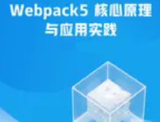 Webpack5 核心原理与应用实践