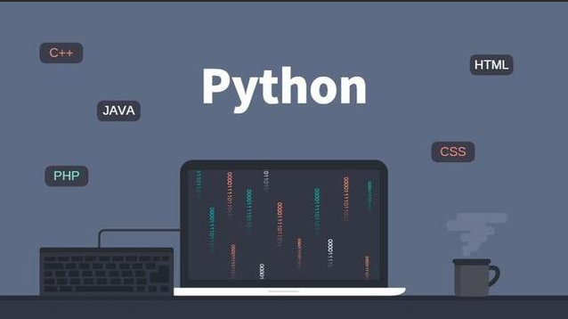 麻瓜编程Python Web 开发工程师微专业基础教程