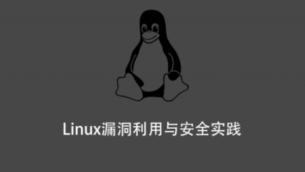 Linux漏洞利用与安全实践